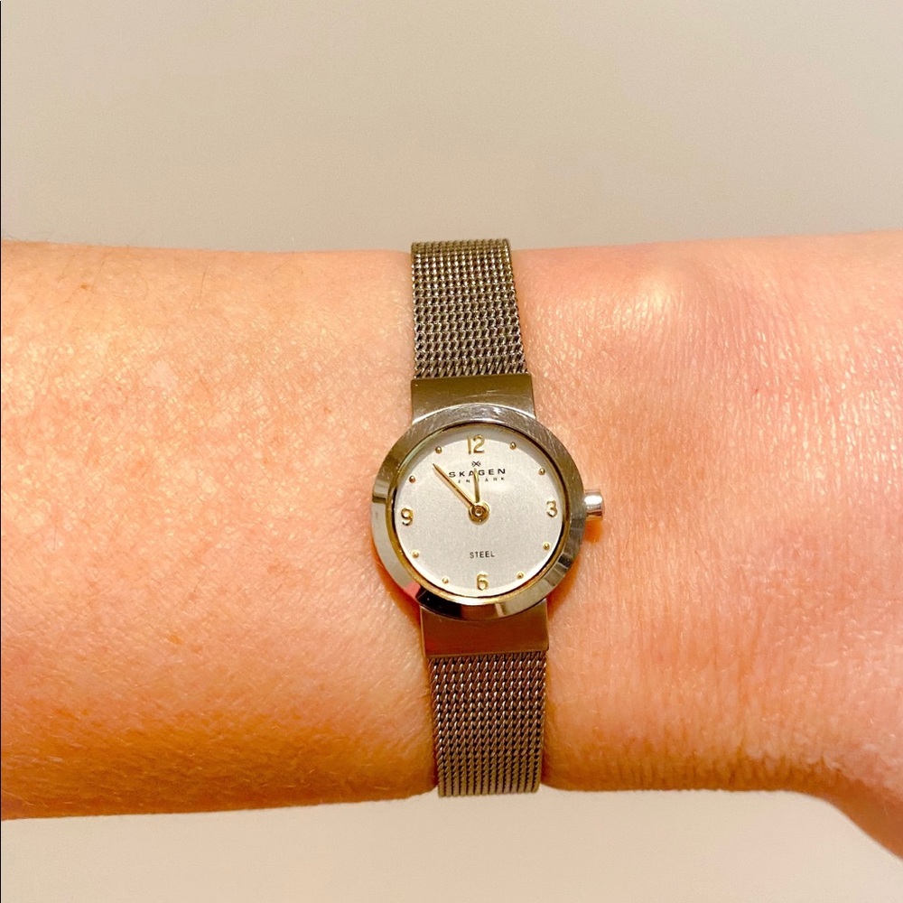 Skagen Stainless Steel Mesh Watch